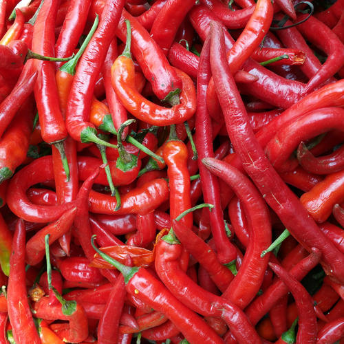 红线椒 约450克 商品图1