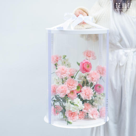 《心愿》-母亲节大号透视花盒 商品图1
