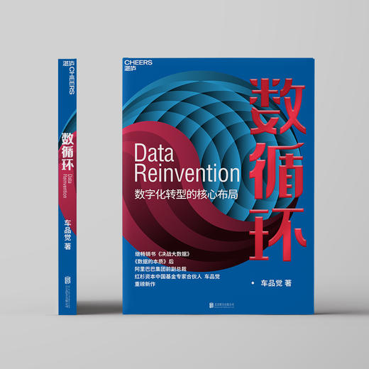 湛庐┃数循环：数字化转型的核心布局 企业管理品牌建设 商品图0