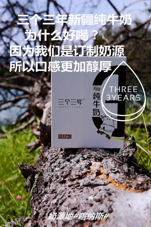 新疆三个三年·天山雪系列 定制纯牛奶 2箱（12瓶X200ml） 商品图13
