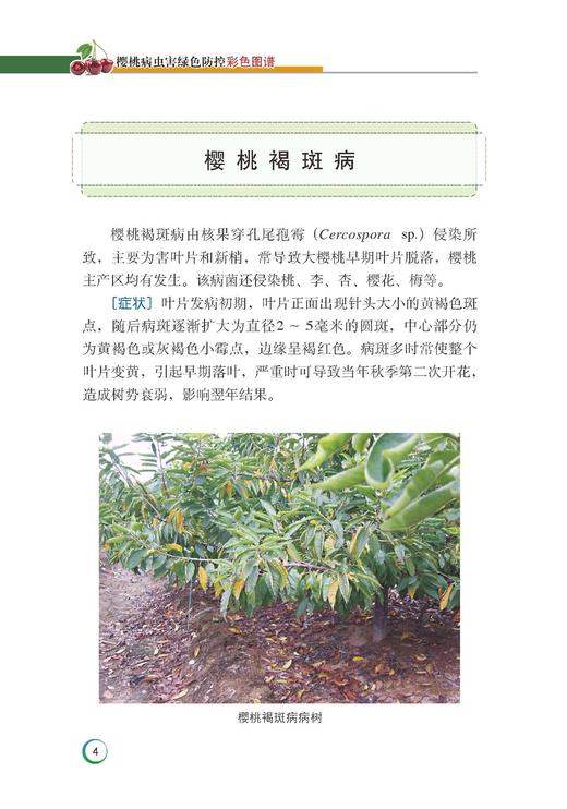樱桃病虫害绿色防控彩色图谱 商品图5