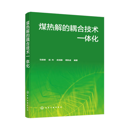 煤热解的耦合技术一体化 商品图0