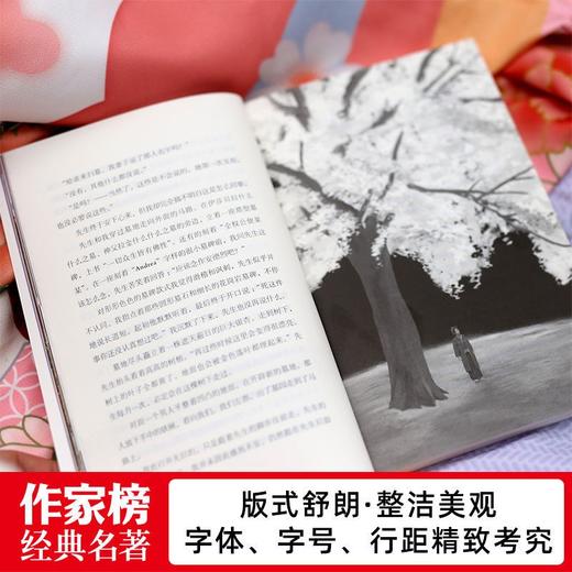 【狂销810万册经典小说】《心》治愈困扰你的心灵忧伤 作家榜正版 商品图6