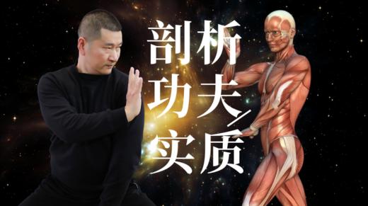 【直播结束】剖析功夫实质--陆功翰武学研究 商品图0