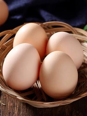 戚家 初生蛋 鸡蛋 30枚