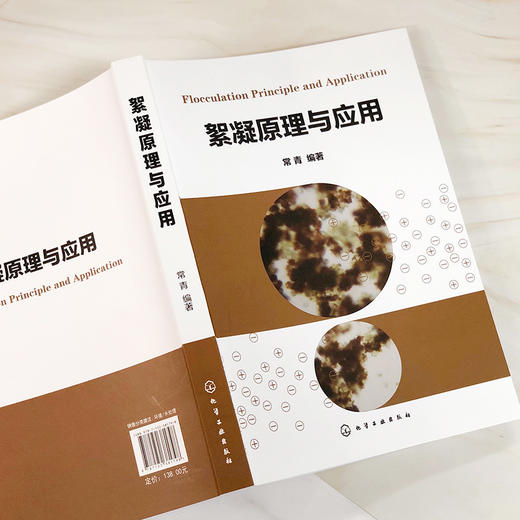 絮凝原理与应用 商品图1