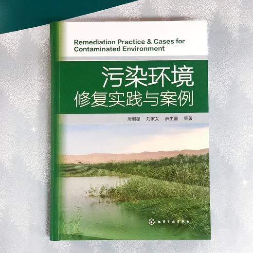 污染环境修复实践与案例 商品图1