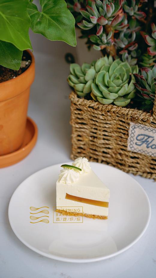 6元】小清新茉莉青柠芝士