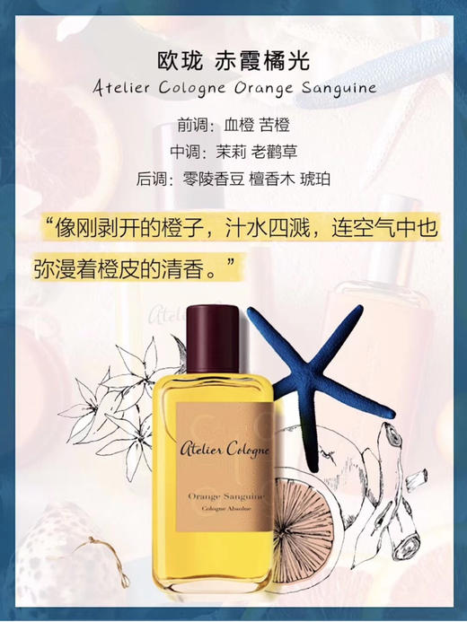 法国欧珑香水30ml 海风青柠套装4ml×8 茉雨心柠古龙香水 桂香月夜 西柚天堂（情柚独钟） 赤霞橘光 加州盛夏 无极乌龙  淡雅茶香柑橘调 商品图6