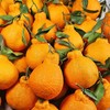 四川丹棱丑橘不知火 商品缩略图3