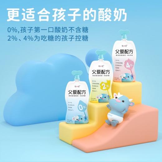 简爱父爱配方无糖幼儿酸奶100g 商品图2