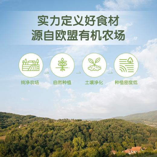 LittleFreddie小皮黑莓椰子草莓香蕉苹果泥 商品图3