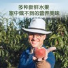 LittleFreddie小皮黑莓椰子草莓香蕉苹果泥 商品缩略图5