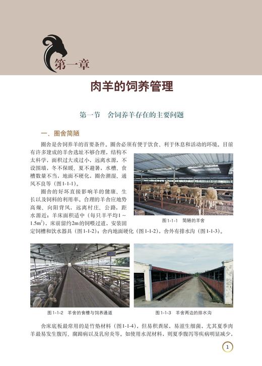 肉羊饲养管理与疾病防治彩色图谱 商品图1