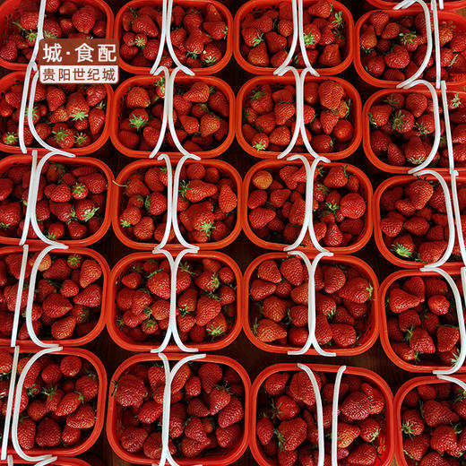 【GY】花溪有机草莓 约3斤装 商品图2