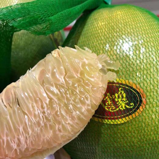 特级越南地图牌翡翠红心柚单果超2斤