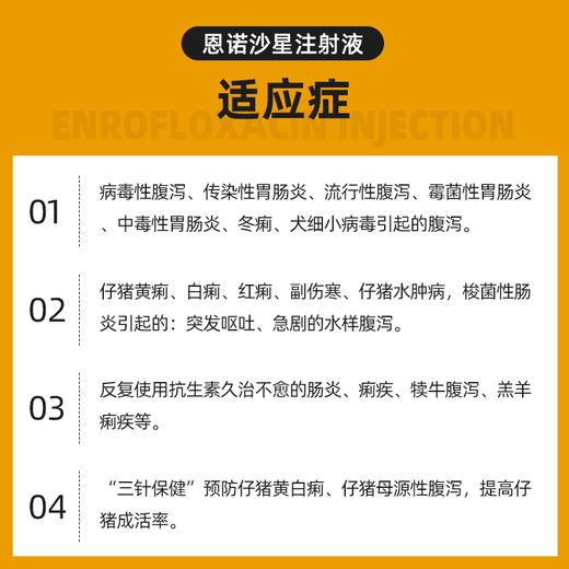 兽药恩诺沙星注射液 恶痢金尊猪牛羊用拉稀腹泻肠炎红黄白痢疾兽 商品图2