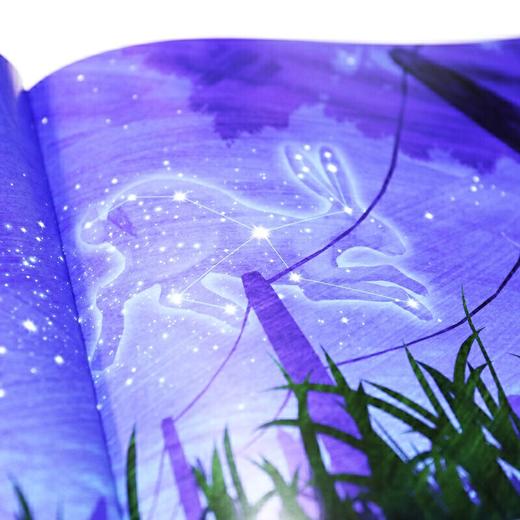 守护星星的兔子 商品图2