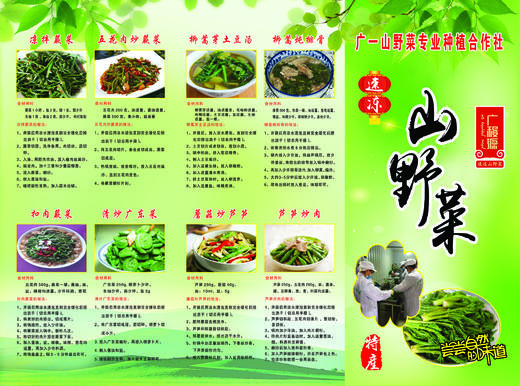 山野菜（速冻刺嫩芽*2；刺五加*2；猴腿*2；蕨菜各*2）（8袋4斤装） 商品图2