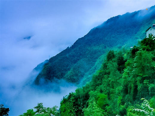 五一4日【神农架】探神秘人文-访三峡人家 鄂西经典深度游 商品图3