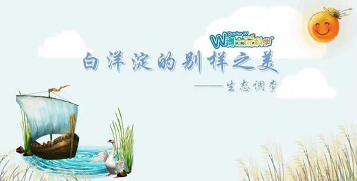 【北京】白洋淀生态调查 商品图0