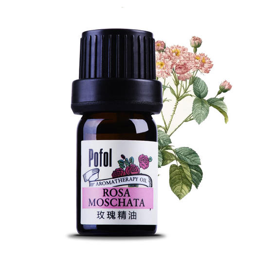 【依斯卡爆品】珀芙精油全系列（玫瑰，柑橘，生姜，茶树，薰衣草） 商品图1