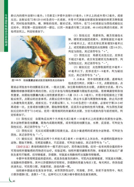 牛传染性疾病诊治彩色图谱 商品图6