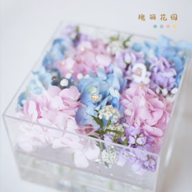 「瑰丽花园」花盒