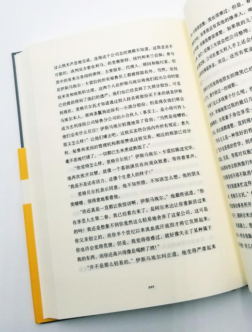 略萨三种：《给青年小说家的信》《卑微的英雄》《凯尔特人之梦》精装   秘鲁 略萨著 上海文艺出版社2018年版 商品图4