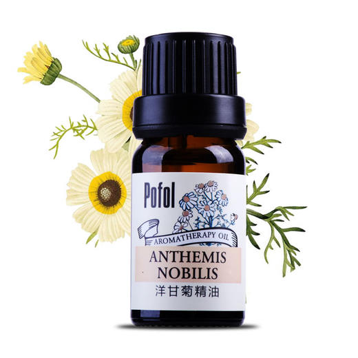 【依斯卡爆品】珀芙精油全系列（玫瑰，柑橘，生姜，茶树，薰衣草） 商品图4