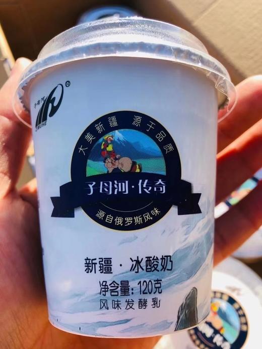 新疆子母河冰酸奶【120克*12杯】 商品图5