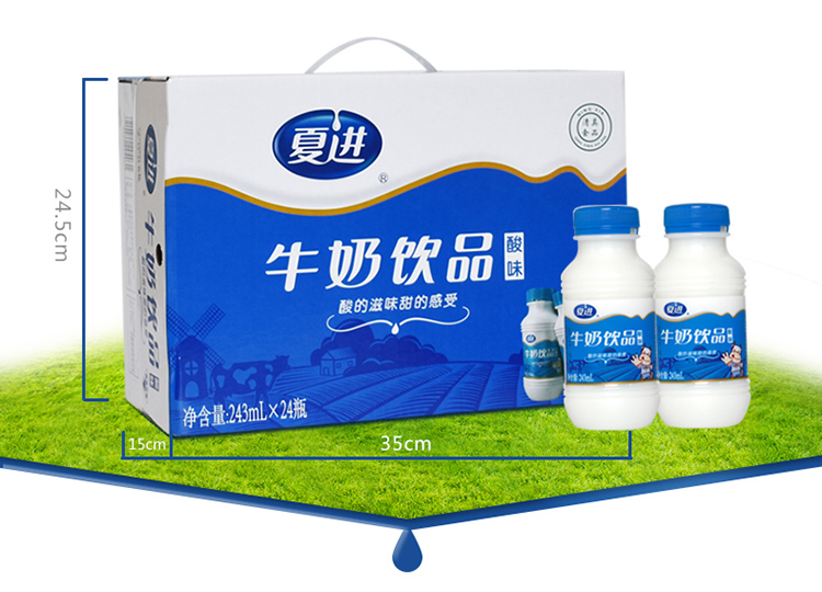 夏进牛奶饮品酸味243ml24瓶