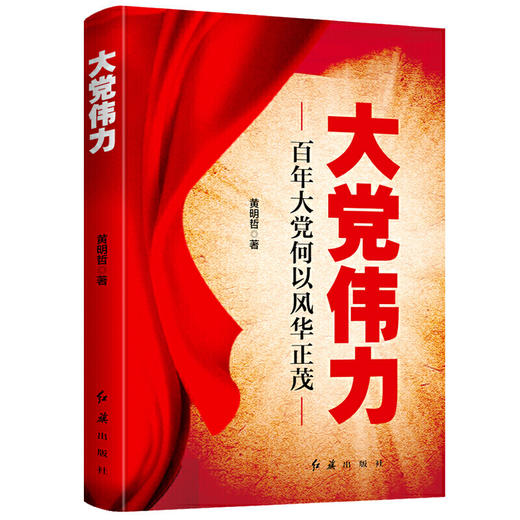 大党伟力 商品图0