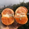 【顺丰包邮】蜜香茂谷柑 9甜1酸 黄金酸甜比 肉嫩多汁 轻松剥皮 高维C 商品缩略图5