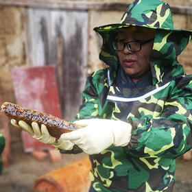 世界三大黄金蜜源地之一的秦岭蜜，一口尝出百花味 