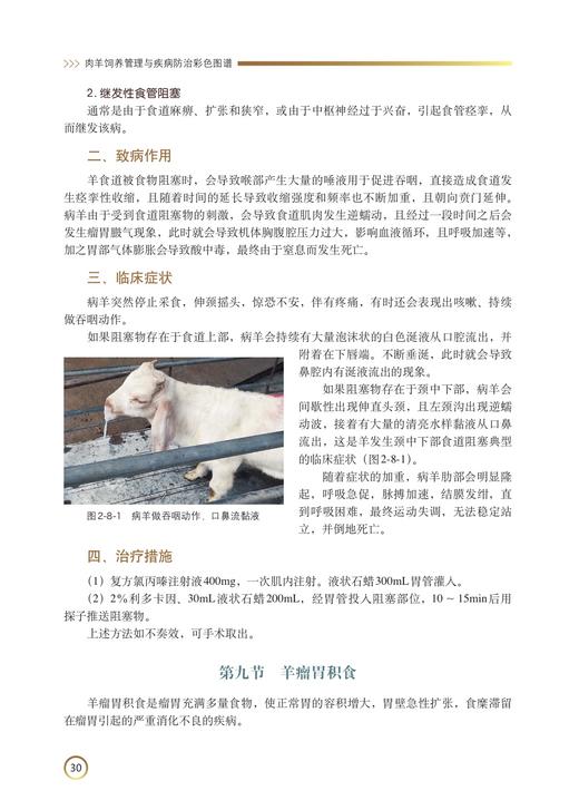 肉羊饲养管理与疾病防治彩色图谱 商品图3