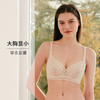 内衣女薄款夏季小流苏蕾丝性感胸罩全罩杯上托大胸显小文胸HSIA遐 商品缩略图3