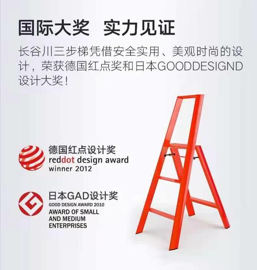 8F LIKUAI利快单扶手梯子 商品图1