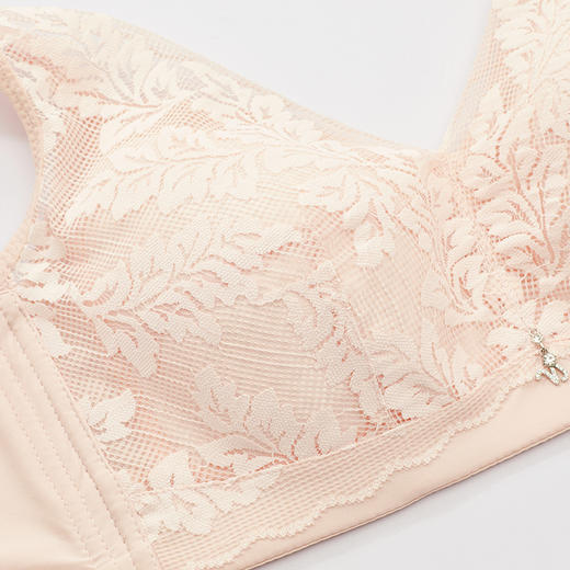 雅黛丽品牌内衣女薄款大胸显小聚拢无钢圈调整型收副乳防下垂文胸 商品图2