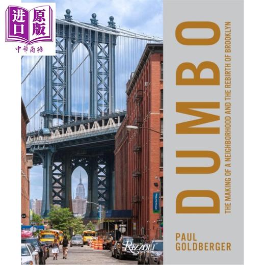 【中商原版】Dumbo 进口艺术 丹波：纽约街区的形成 Rizzoli 商品图0