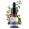 【依斯卡爆品】珀芙精油全系列（玫瑰，柑橘，生姜，茶树，薰衣草） 商品缩略图6
