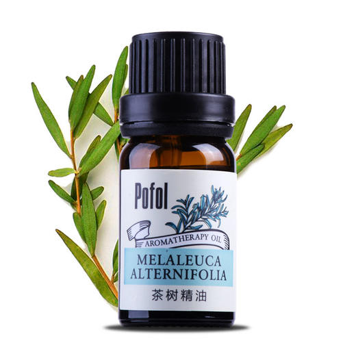 【依斯卡爆品】珀芙精油全系列（玫瑰，柑橘，生姜，茶树，薰衣草） 商品图2
