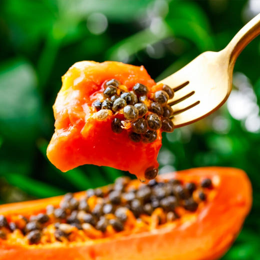 【自然树上熟】雷州冰糖红心木瓜 果香浓郁 甜蜜多汁 细腻爽口 收到可直接吃的快乐 商品图4