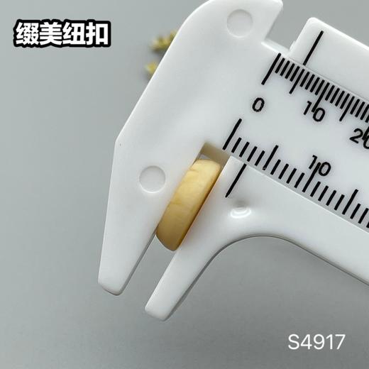 S4917(整包购买) 商品图5