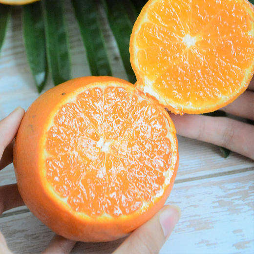 【顺丰包邮】蜜香茂谷柑 9甜1酸 黄金酸甜比 肉嫩多汁 轻松剥皮 高维C 商品图3