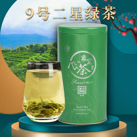 【2026新茶】象窝绿茶 9号二星绿茶罐装125g/罐 纯手工采摘一芽二三叶 商品图1
