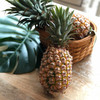 海南金钻凤梨 Hainan Pineapple 单果1kg+ 商品缩略图2
