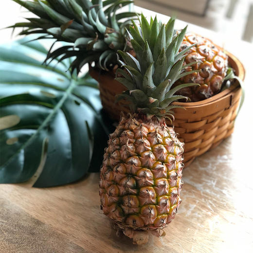 海南金钻凤梨 Hainan Pineapple 单果1kg+ 商品图2