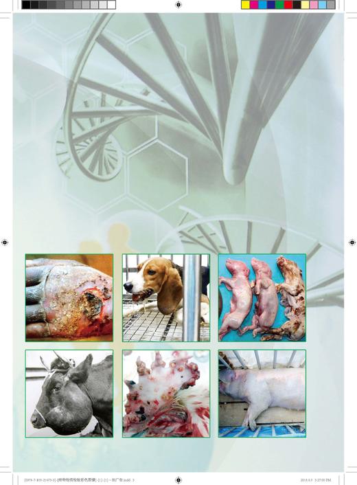 动物检疫检验彩色图谱（第二版） 商品图3