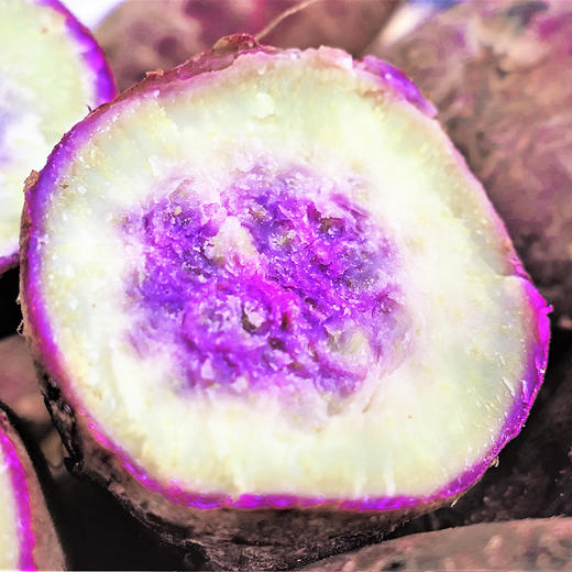 【百吃不厌】一点红香薯 粉糯香甜 新鲜现挖 惊艳你的冰淇淋番薯 新鲜每一口 商品图3